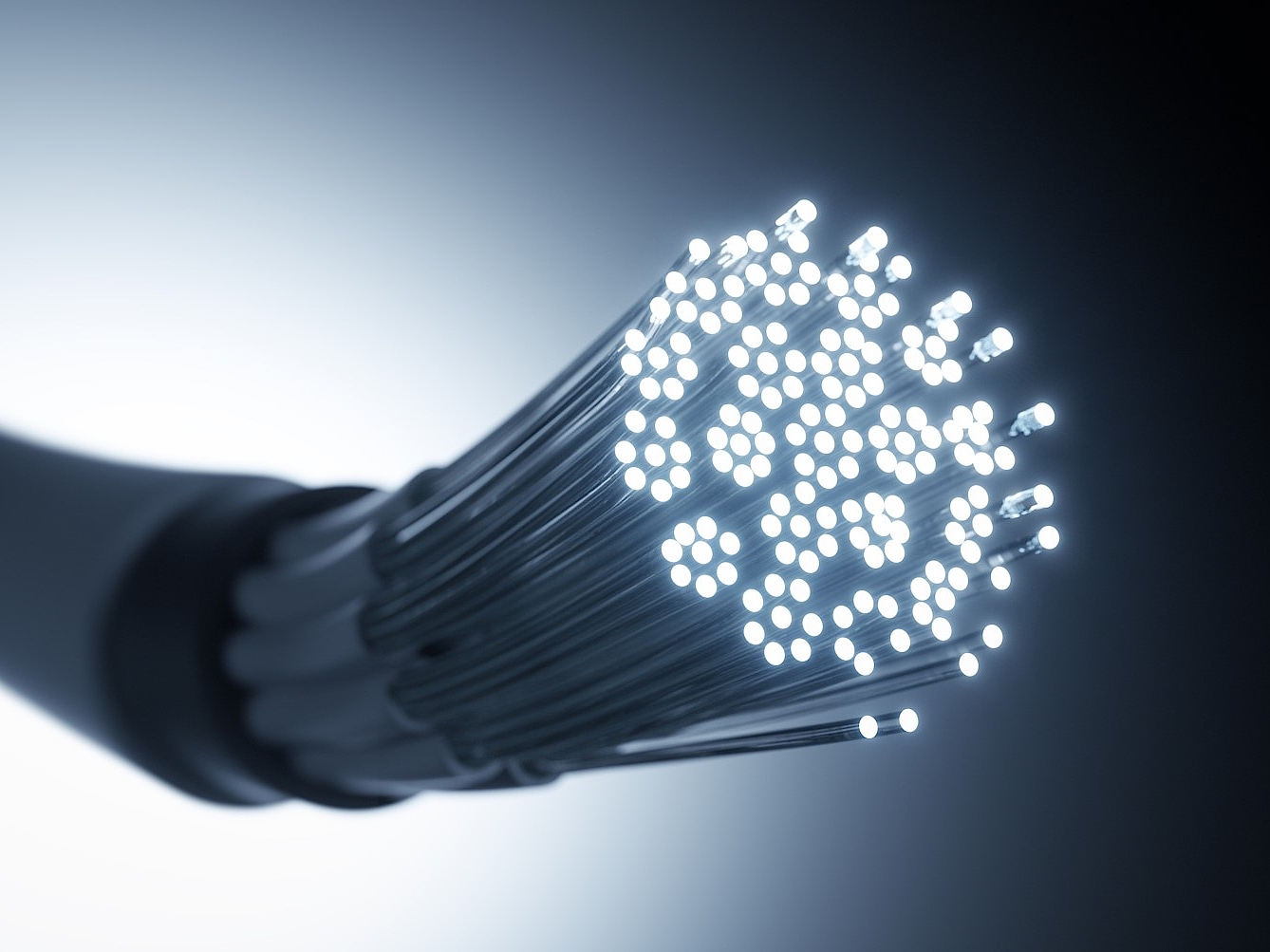 Close up photo of a bundle of optical fibers