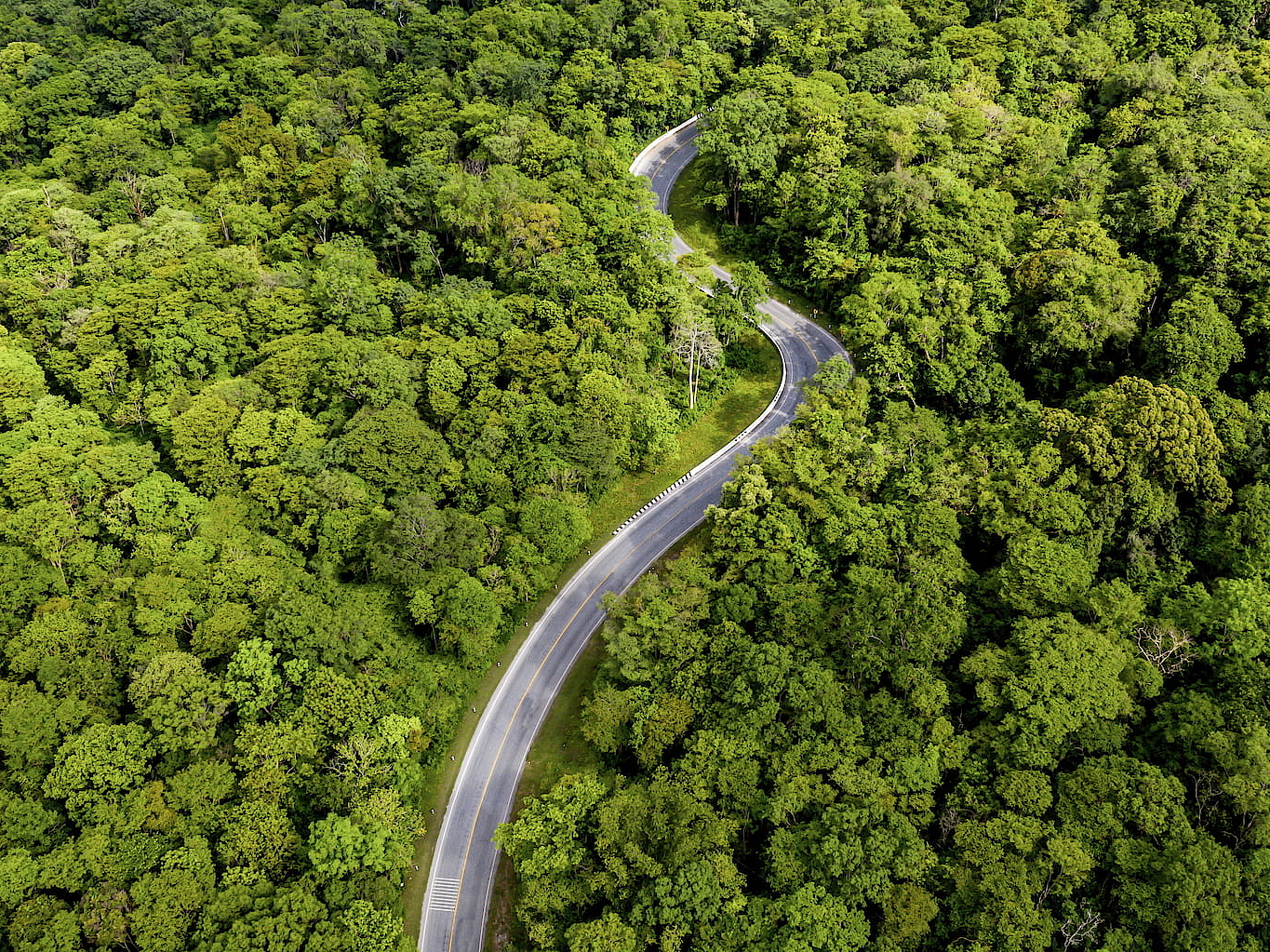 穿越绿色雨林的蜿蜒公路